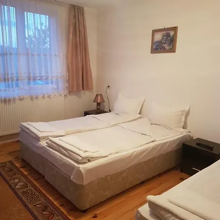яна Къща за гости Добринище