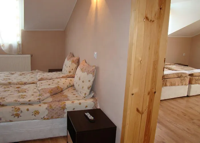 Pensiune Yana Dobriniște