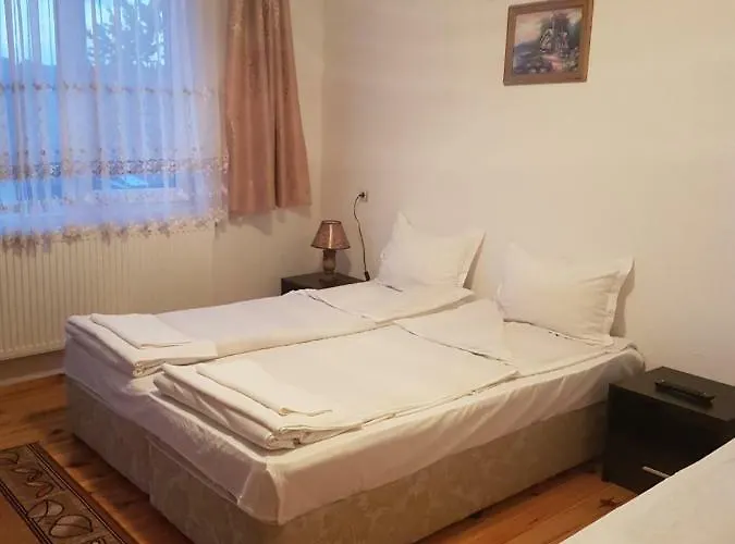 Yana Pensiune Dobriniște